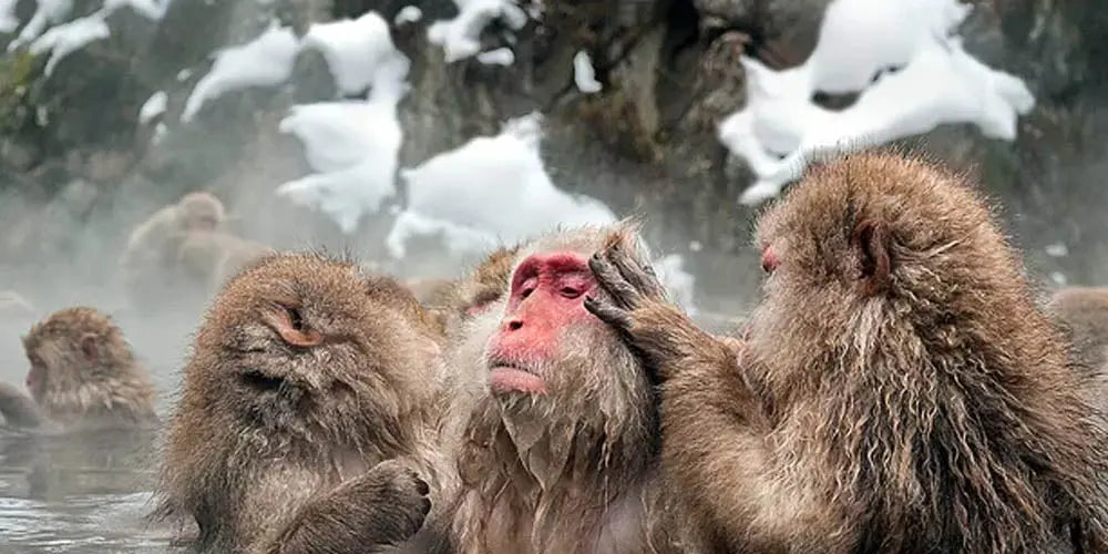 6 Cold Weather Destinations You Need to Visit Before You Die